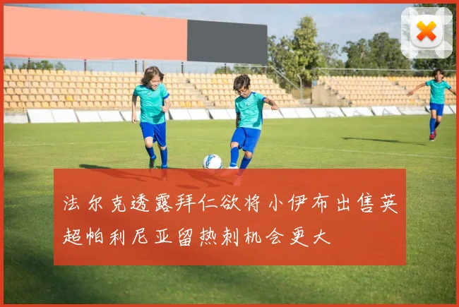 法尔克透露拜仁欲将小伊布出售英超帕利尼亚留热刺机会更大